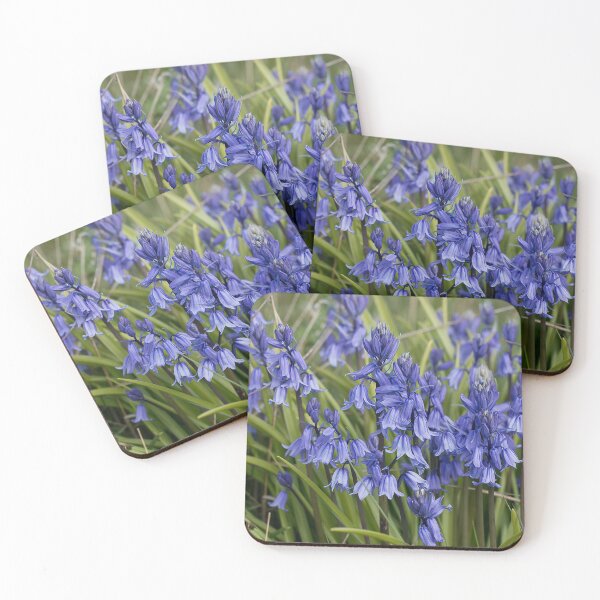 Item preview, English Wild Flowers - Clump of Bluebells designed and sold by Violaman.