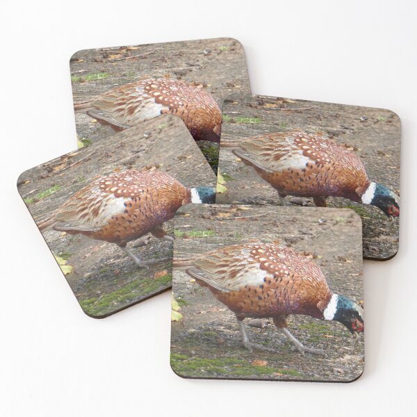 Item preview, Look What I Found designed and sold by GedTKirk.