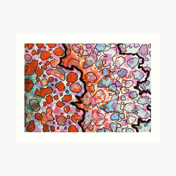 6, Inset B Art Print
