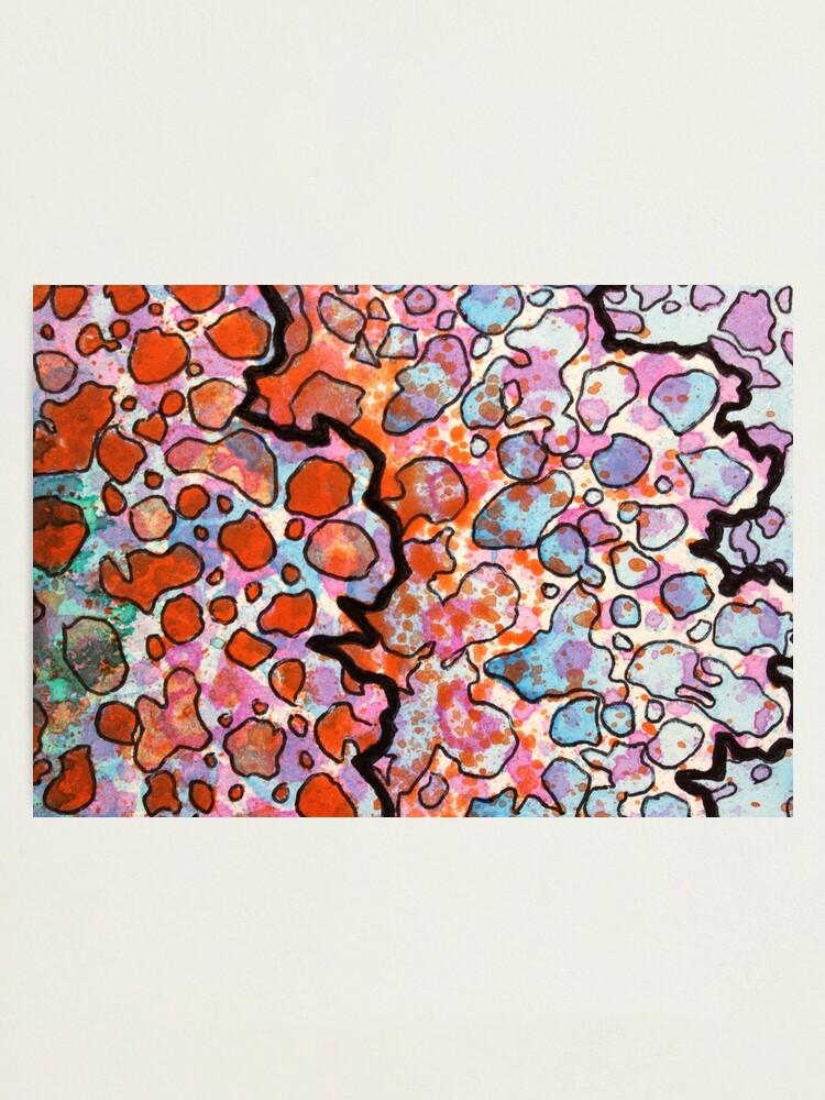 Alternate view of 6, Inset B Photographic Print