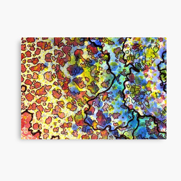 7, Inset A Canvas Print