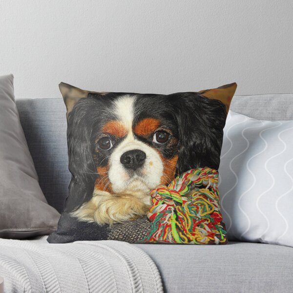 Item preview, Tri-Colour Cavalier King Charles Spaniel. designed and sold by Billlee.