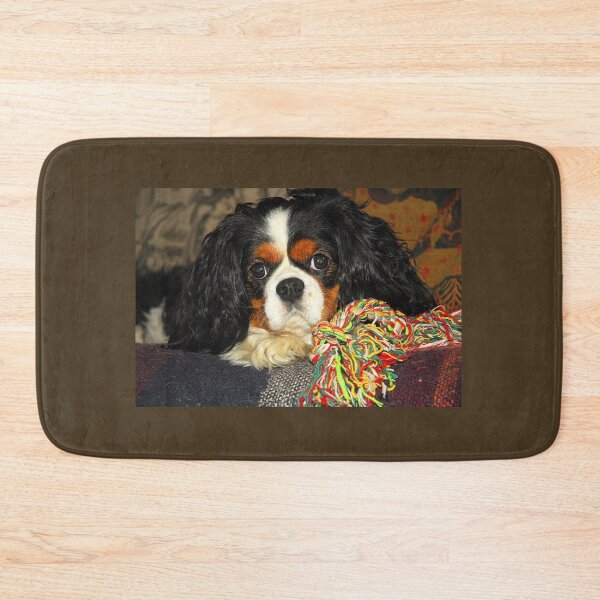 Item preview, Tri-Colour Cavalier King Charles Spaniel. designed and sold by Billlee.