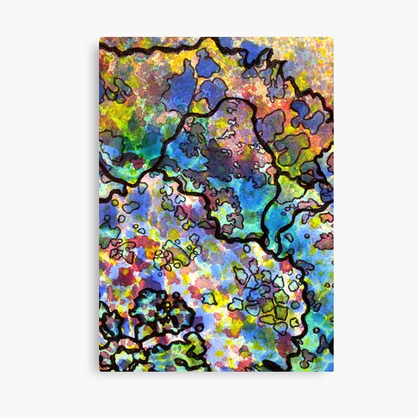 7, Inset B Canvas Print