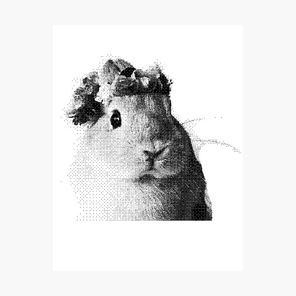 Lovely Bunny Photographic Print