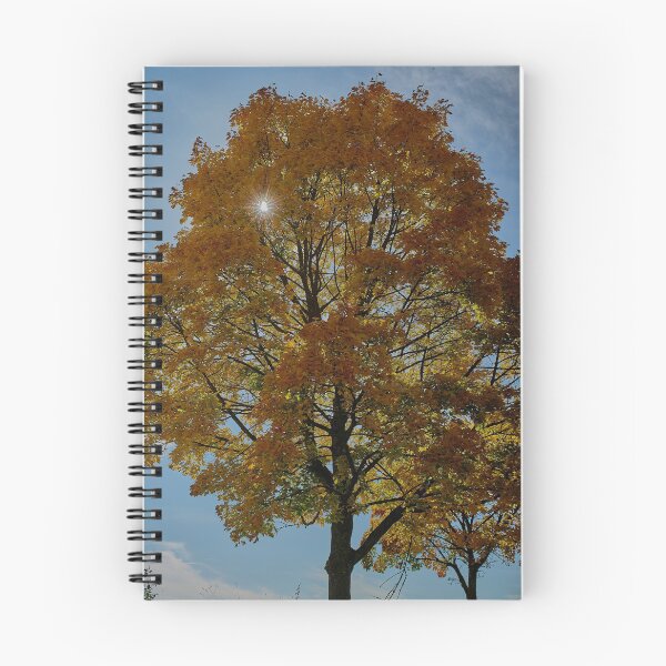 Item preview, Autumn designed and sold by Mark Bangert.