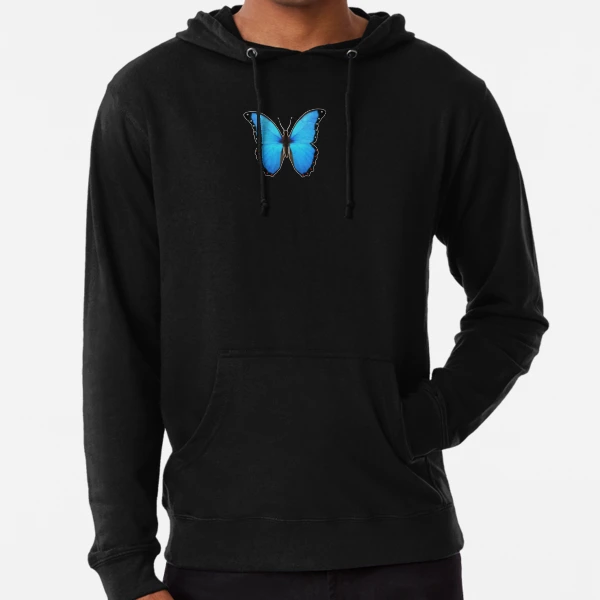 Brandy melville blue butterfly hoodie online