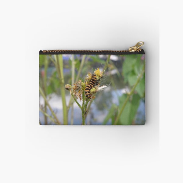 Item preview, Cinnabar Moth Caterpillar Macro Photograph designed and sold by naturegallery.