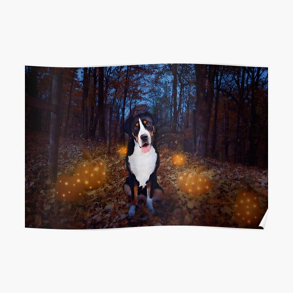 Autumn Night Poster