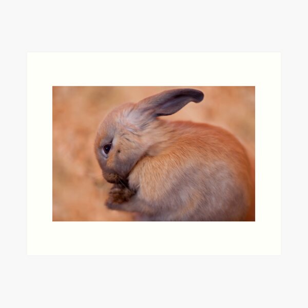 Item preview, Soft Things in Life designed and sold by Janet Fikar.