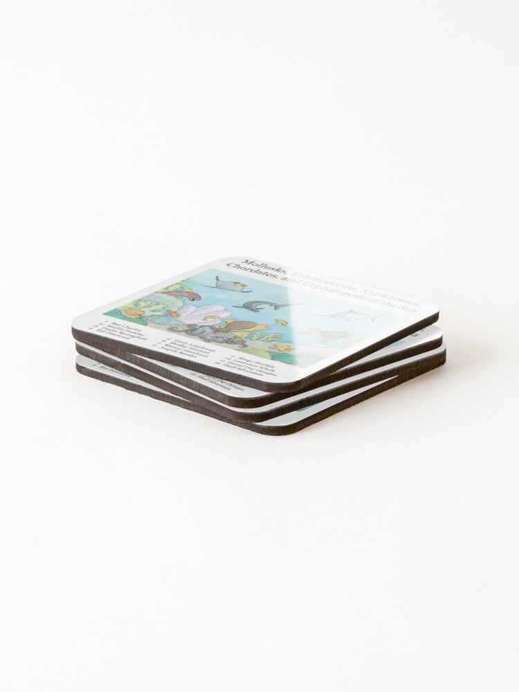 Alternate view of Go Fish! Coasters (Set of 4)