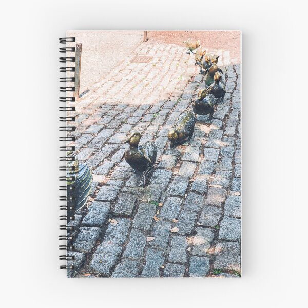 Item preview, Boston - Make Way for Ducklings designed and sold by themayyoung.