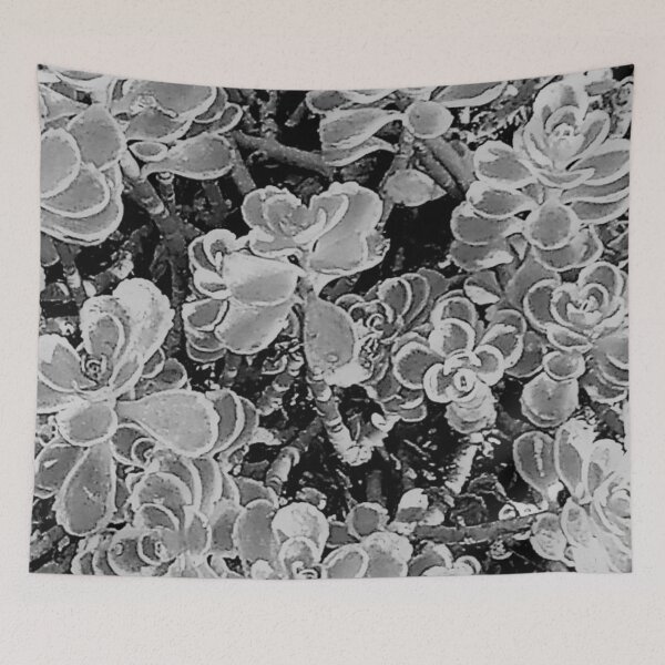 Item preview, Stonecrop in Black and White designed and sold by bellaura.