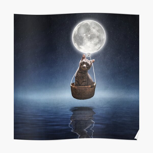 By the Light of the Moon Poster