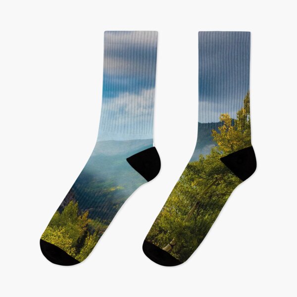 Item preview, Sunlight Valley // Dense Forest View through the Autumn Colors in Colorado designed and sold by catbyrdcolorado.