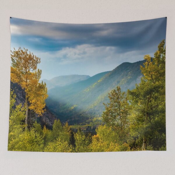Item preview, Sunlight Valley // Dense Forest View through the Autumn Colors in Colorado designed and sold by catbyrdcolorado.