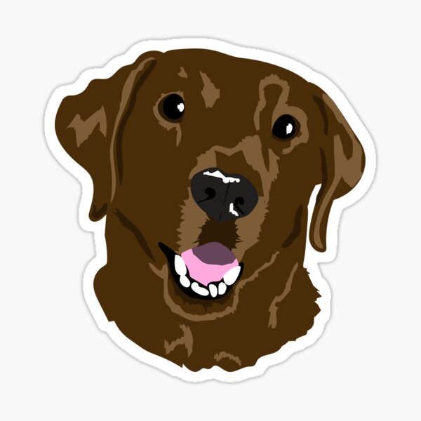 Labrador Abbildung Geschenke Merchandise Redbubble