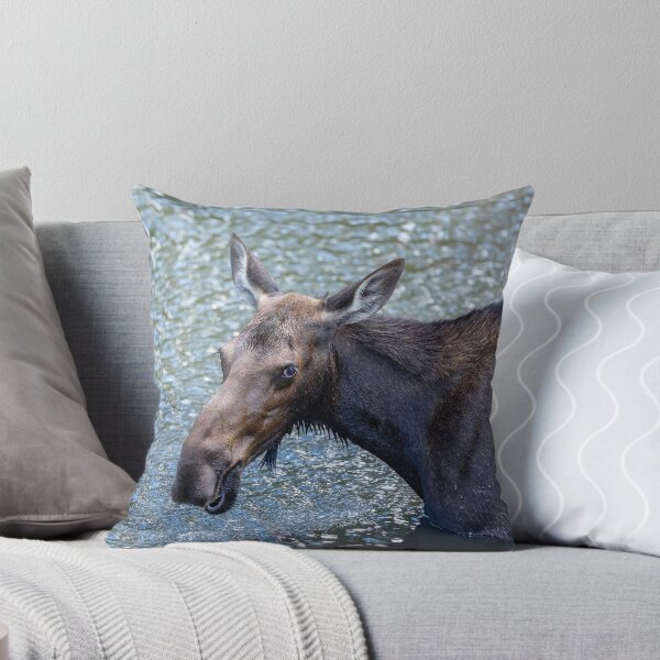 Artikelvorschau, Momma Moose Fütterung entworfen und verkauft von DaveTeePhoto.