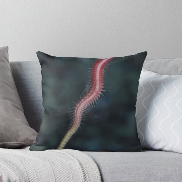 Item preview, Polychaete Epitoke designed and sold by Mark Rosenstein.