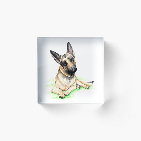 Handsome German Shepherd Acrylic Block