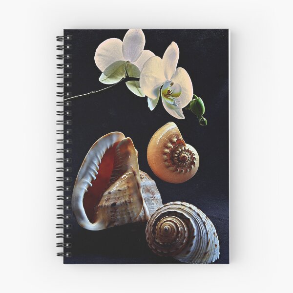 Item preview, Orchid with three seashells designed and sold by andreisky.