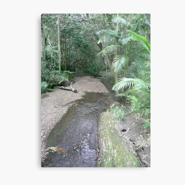 Item preview, Boggy Creek, Nightcap National Park, New South Wales designed and sold by Margaret  Hyde.
