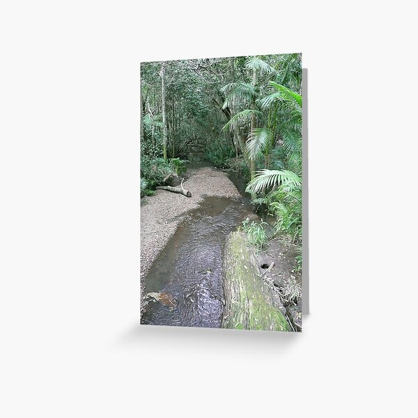 Item preview, Boggy Creek, Nightcap National Park, New South Wales designed and sold by Margaret  Hyde.