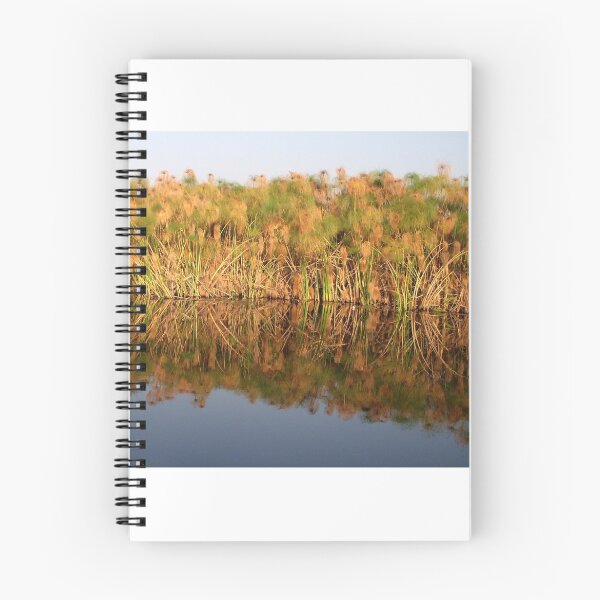 Item preview, Sunset on the Okavango Papyrus designed and sold by Margaret  Hyde.