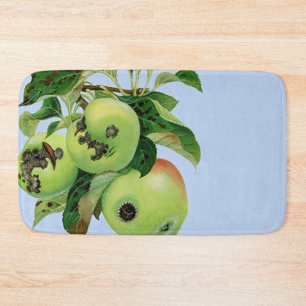 Item preview, Apple Scab - Venturia inaequalis - (cut-away) designed and sold by BiosecurityColl.