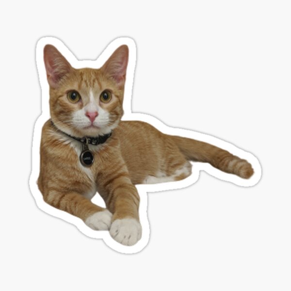 Sarge laying down Sticker