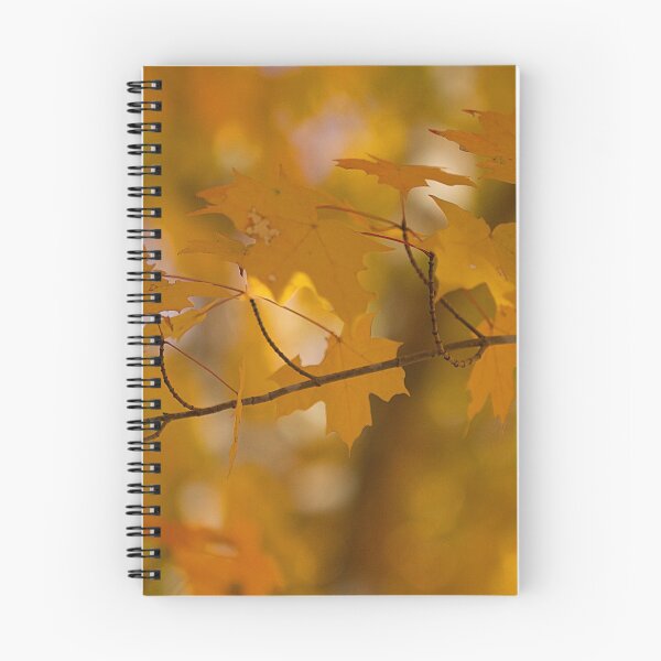 Item preview, Sugar Maple designed and sold by Brenda Burnett.