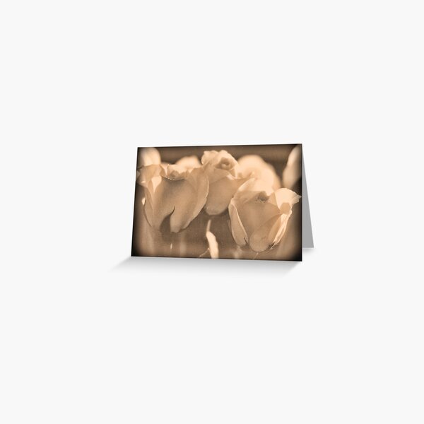 Roses Daguerrotype, distressed Greeting Card