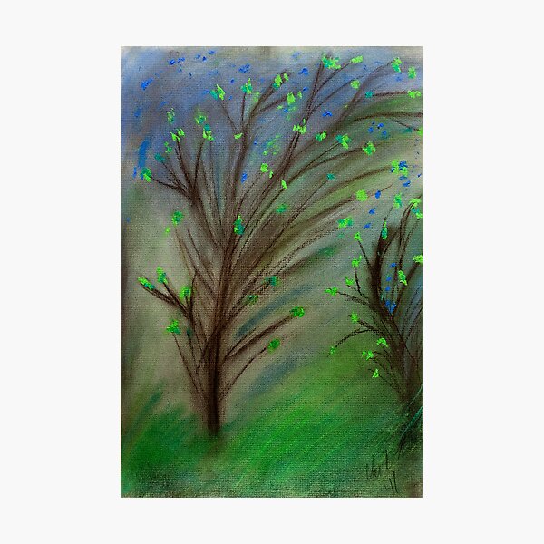 Faded Spring of Mine, Watch As The Wind Blows... Photographic Print