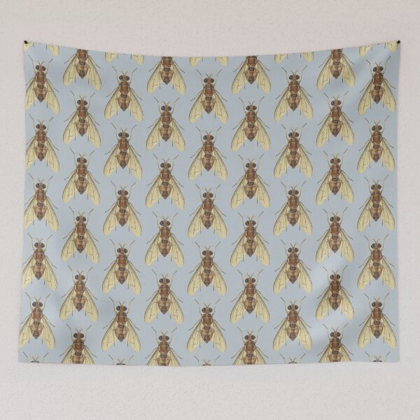 Item preview, The Queensland Fruit Fly (cut-away) designed and sold by BiosecurityColl.