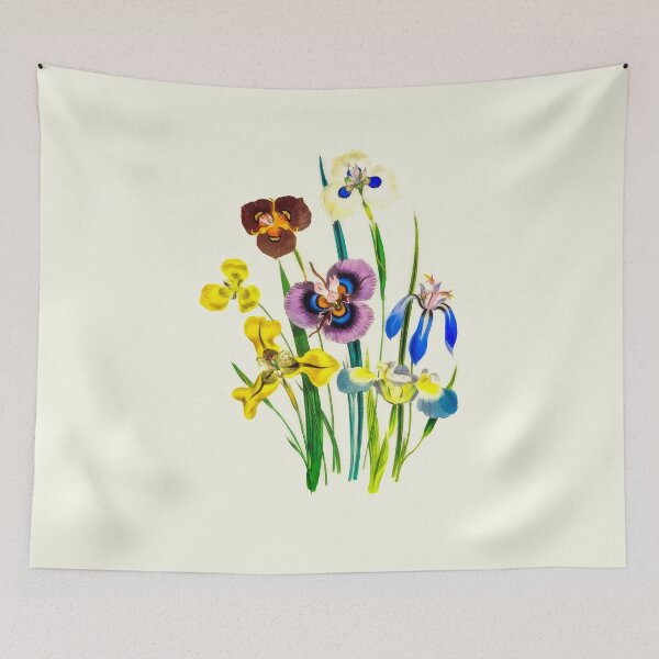Item preview, Members of the Iris Family designed and sold by PictureNZ.