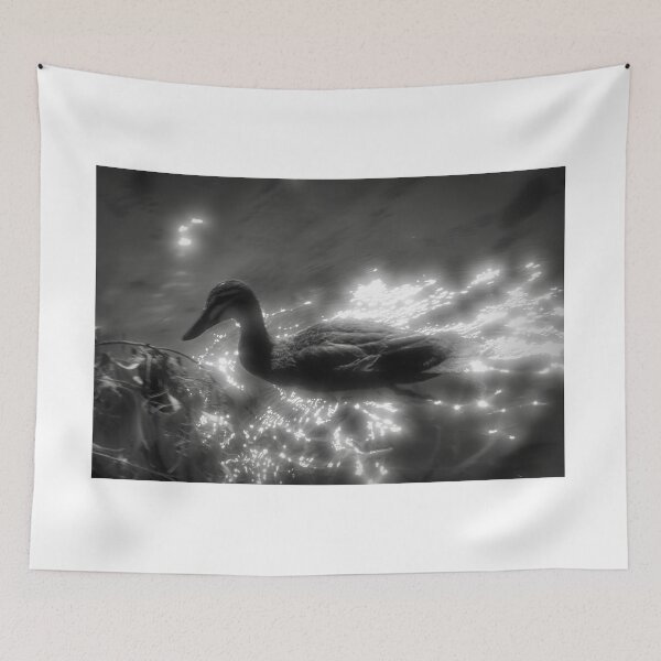Item preview, Moonlight Sonata designed and sold by JPPhotographix.