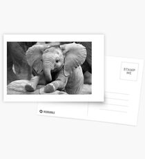 Come play with me Postcards