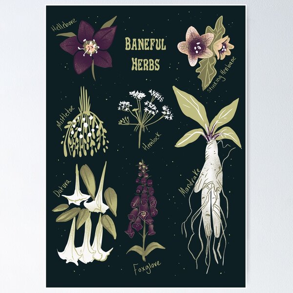 Item preview, Baneful Herbs- Botany for witches  designed and sold by katiewhittle.