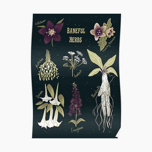 Baneful Herbs- Botany for witches Poster