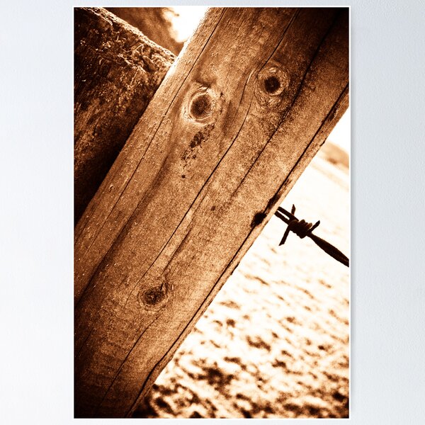 Item preview, Face in fence designed and sold by DeePhoto.