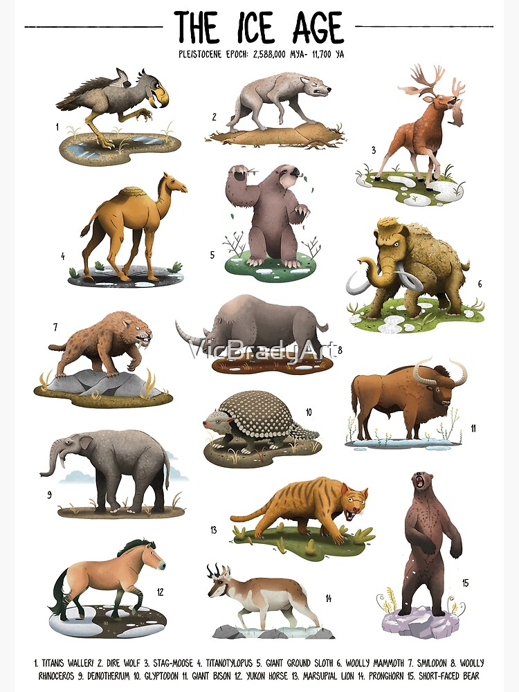 "Ice Age Poster" Poster for Sale by VicBradyArt Redbubble