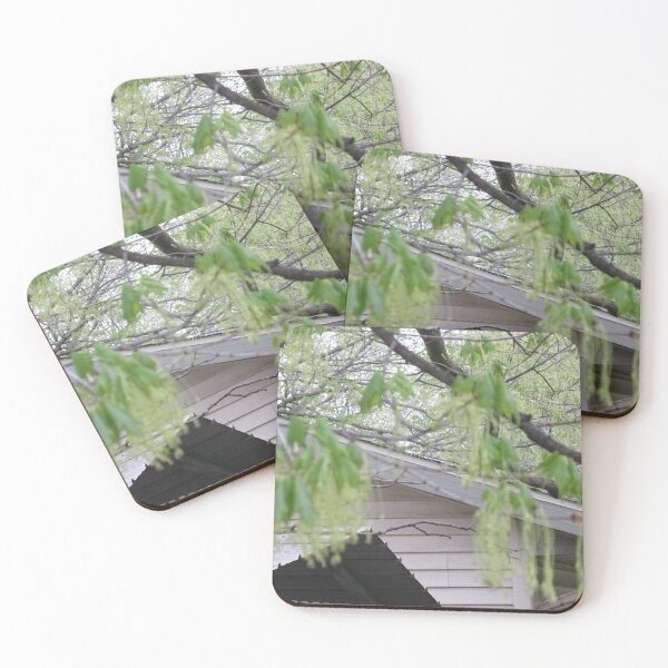 Item preview, Green Tin Roof designed and sold by MissLADYbugsy.