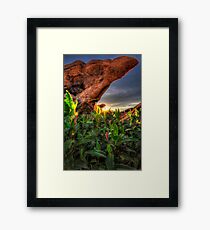 Overhang Framed Print