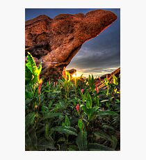 Overhang Photographic Print
