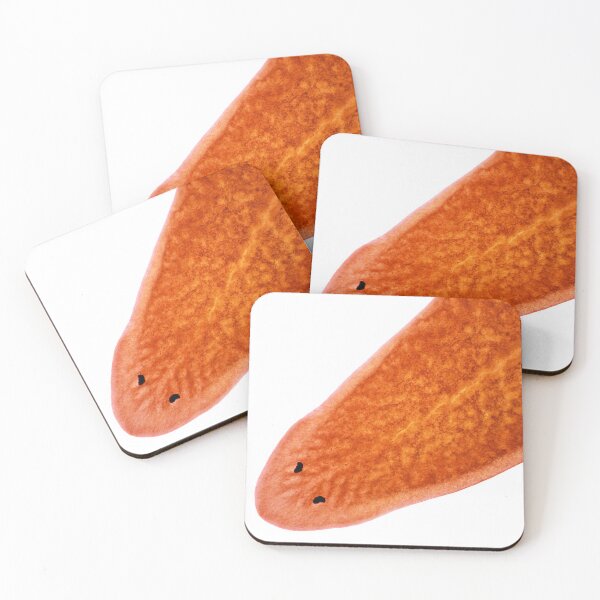 Item preview, Planaria worm under the microscope designed and sold by SDym Photography.