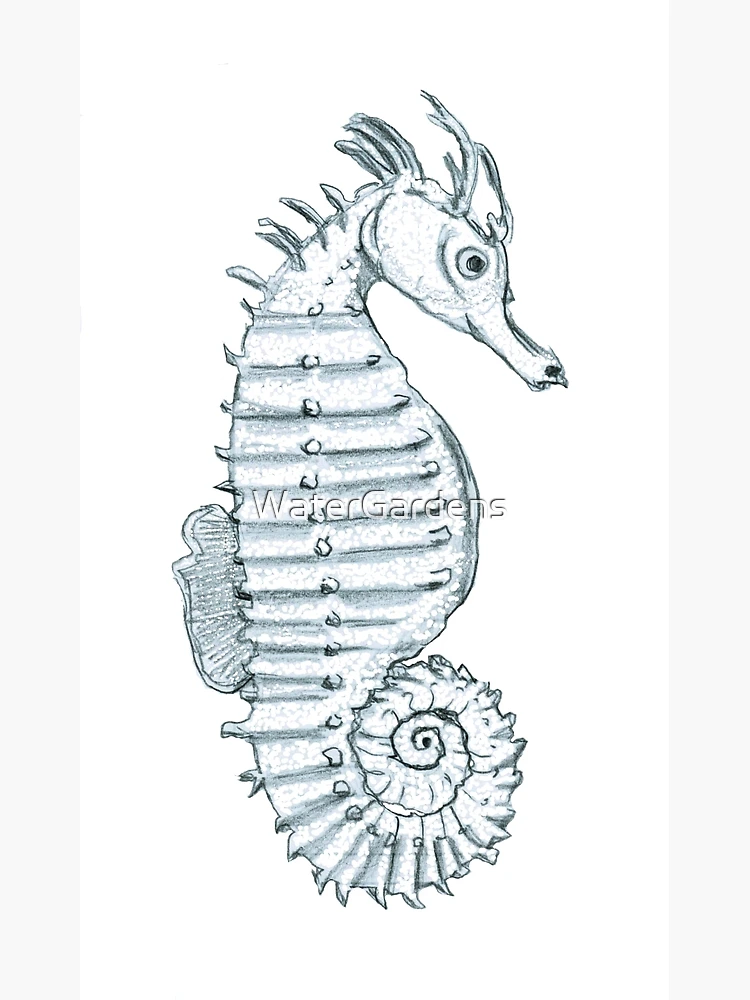 Seahorse sketch. 🌊🐎 Materials: Speedball 5.5 in Sketchbook