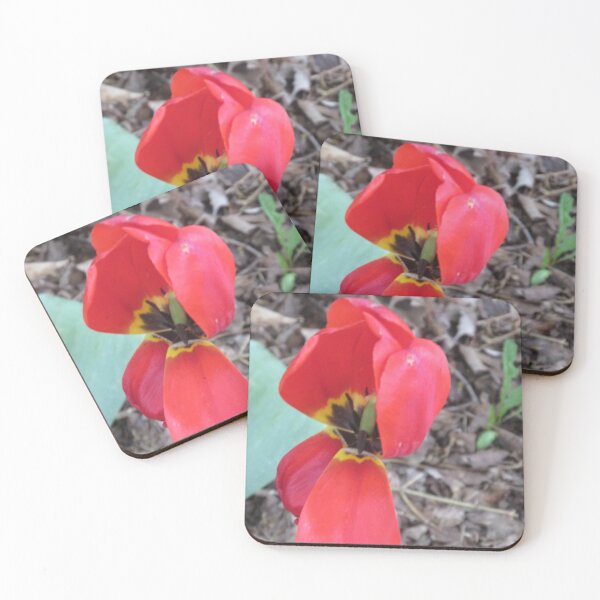 Item preview, If Only a Little Glue Could Fix It designed and sold by MissLADYbugsy.