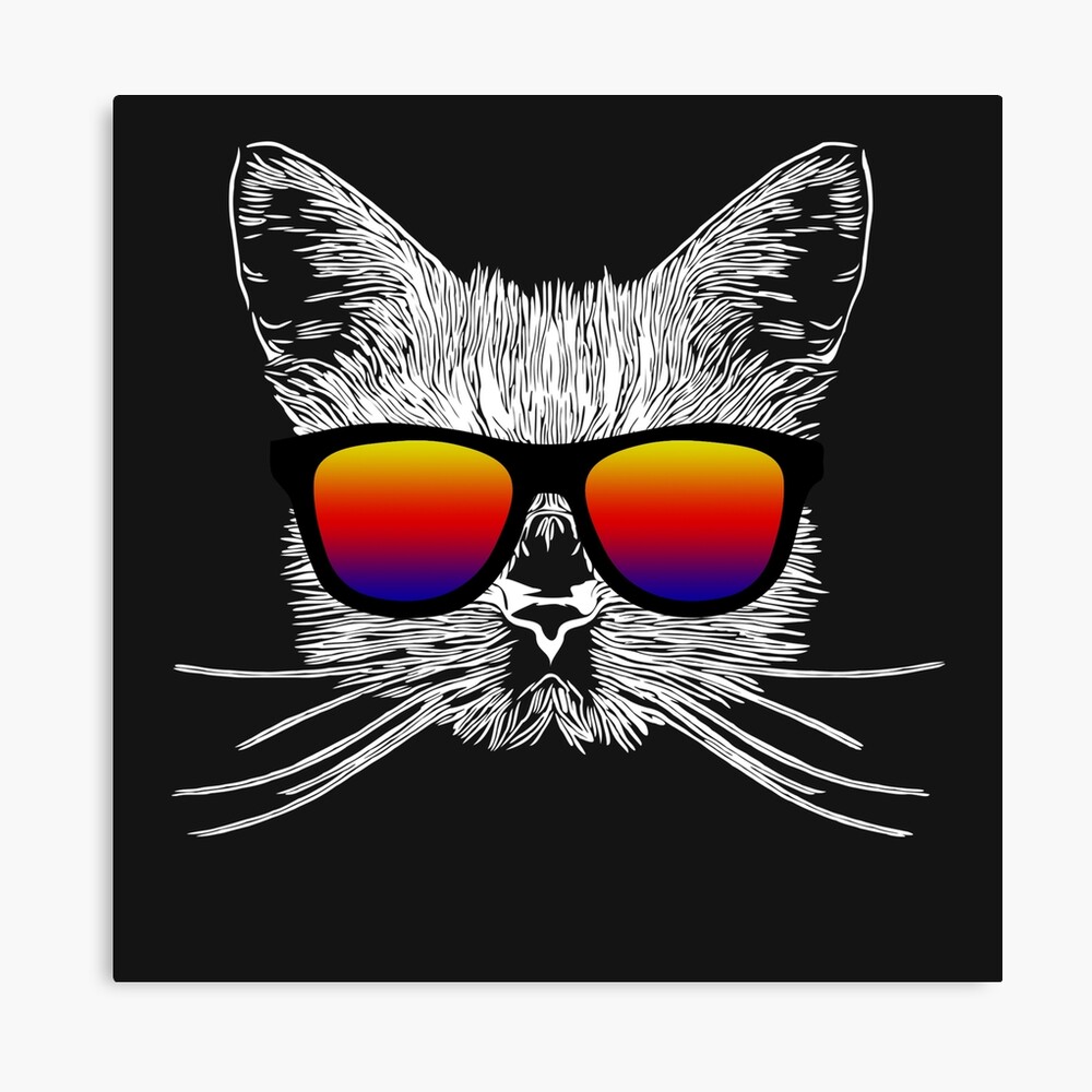 Poster Chat Avec Des Lunettes De Soleil Par Isstgeschichte Redbubble