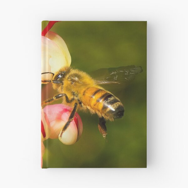 Item preview, Honeybee and Grevillea Flower designed and sold by cschester4.