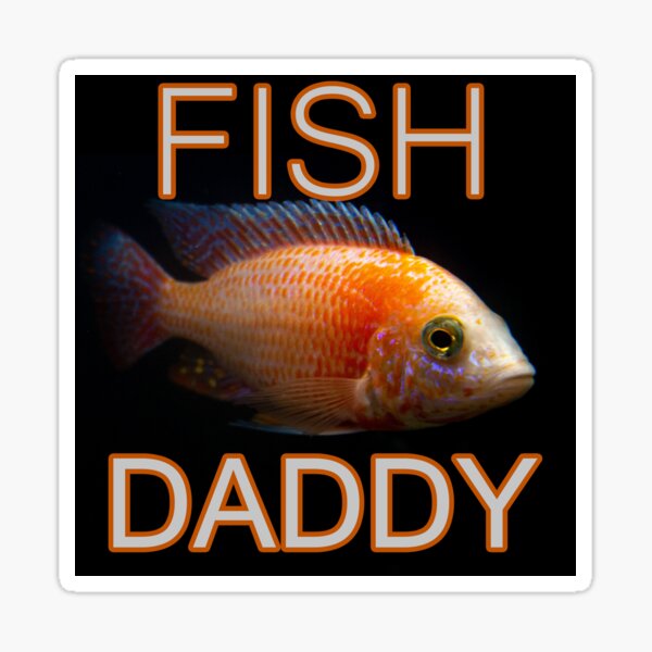 Fish Daddy